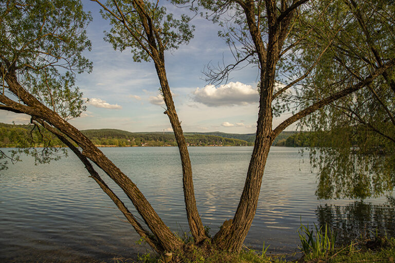 Orfű Pécsi-tó
