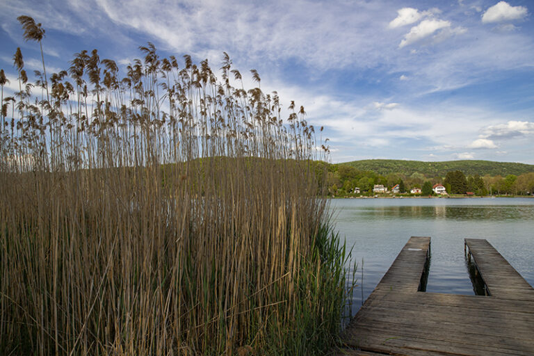 Pécsi-tó